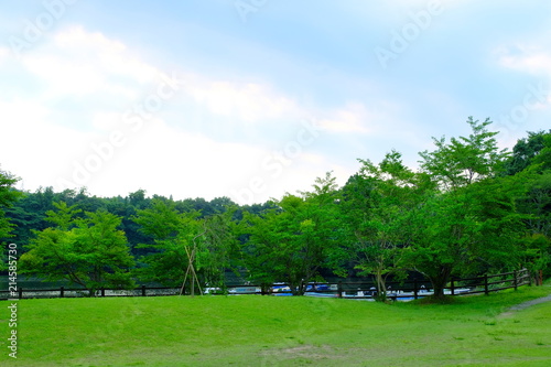 夏 緑 広場 Stock 写真 Adobe Stock 夏 緑 広場 Stock 写真 Adobe Stock