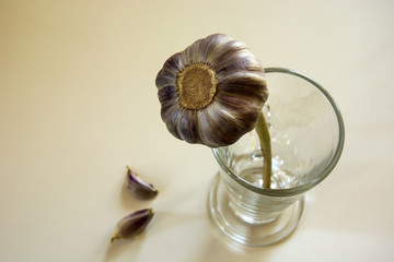 Wall Mural - Garlic bulb in the glass