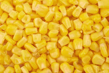 Sticker - Surface coated with the canned corn