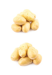 Sticker - Raw potato composition isolated