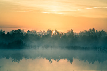 Wall Mural - a beautiful, colorful landscape of a misty swamp during the sunrise. atmospheric, tranquil wetland s