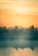 Wall Mural - a beautiful, colorful landscape of a misty swamp during the sunrise. atmospheric, tranquil wetland s