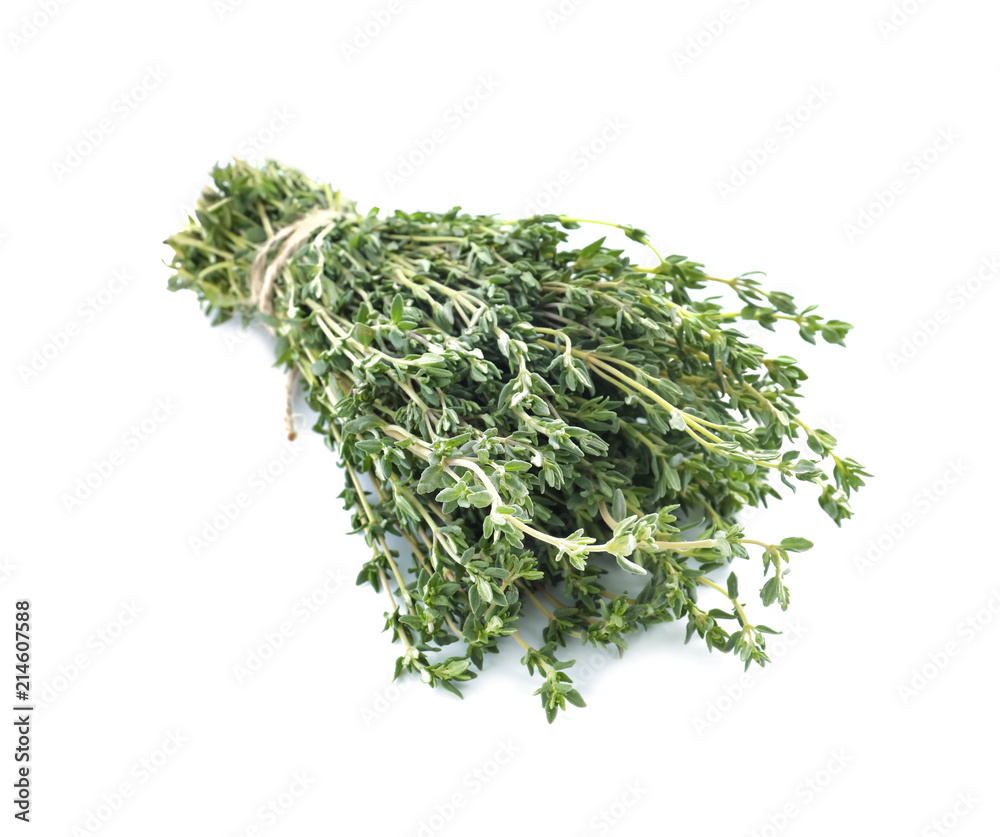 Bunch of fresh thyme on white background