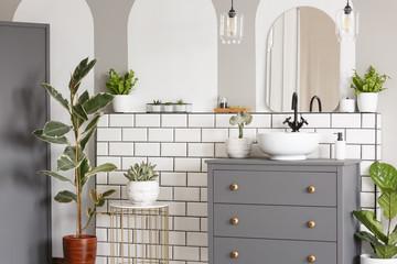 Mirror above grey cabinet with washbasin in bright bathroom interior with plants. Real photo