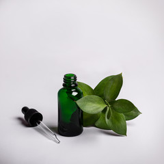 Wall Mural - Bottle Essence Oil and green twig. Health Ecology concept