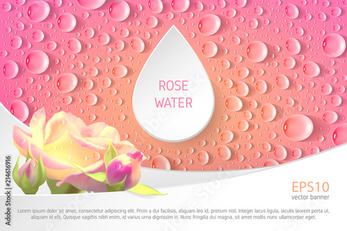 Fotografie, Obraz Rectangular pink banner with roses and drops