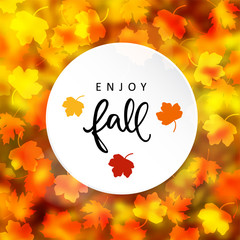 Wall Mural - enjoy fall. autumn modern blurred background with silhouettes of maple leaves. vector illustration g