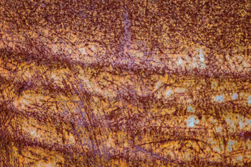 Rusty metal texture background