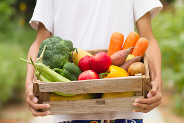 Farmer carrying fresh vegetable just harvest at organic farm