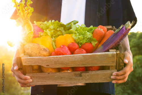 Fotografía Fresh vegetable harvest and carrying by farmer at beautiful sunset
