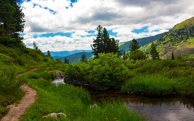 Wall Mural - Idyllic summer mountain landscape with a creek or stream or river and flowers. A trail along the overgrown stream with clear water. Sayan Mountains. Nature Park Ergaki, Russia, Siberia.