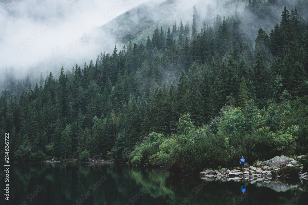 Foggy and mystic mountain forrest with a reflection on the water and person standing in front in Morskie Oko, High Tatras, Zakopane, Poland - obrazy, fototapety, plakaty 