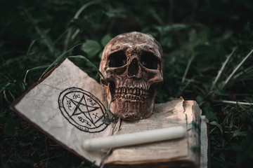 Black magic book with occult symbols and skull