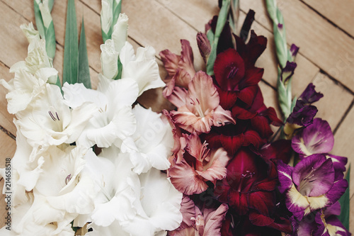 Fotomural beautiful gladiolus in different colors flowers on wooden rustic background, arr