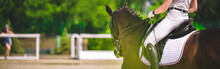 Horse Horizontal Banner For Website Header Design. Dressage Horse And Rider In White Uniform During Equestrian Competition. Blur Green Trees As Background. 