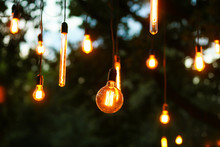 Industrial Hanging Lamps In The Nature In A Wedding Decor