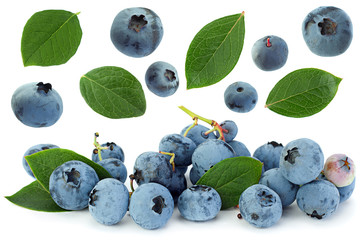 Wall Mural - Blueberry collection closeup on white