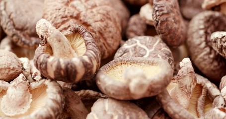 Canvas Print - Chinese dry mushroom in rotation