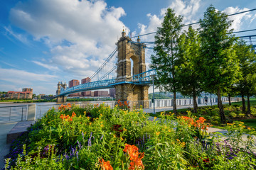 Canvas Print - Flowers and the John A. Roebling Suspension Bridge in Cincinnati, Ohio