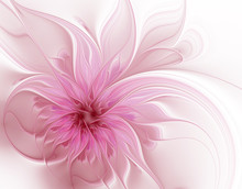 Fractal Pink Flower On A White Background