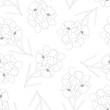 Vanda Miss Joaquim Orchid Flower Outline on White Background