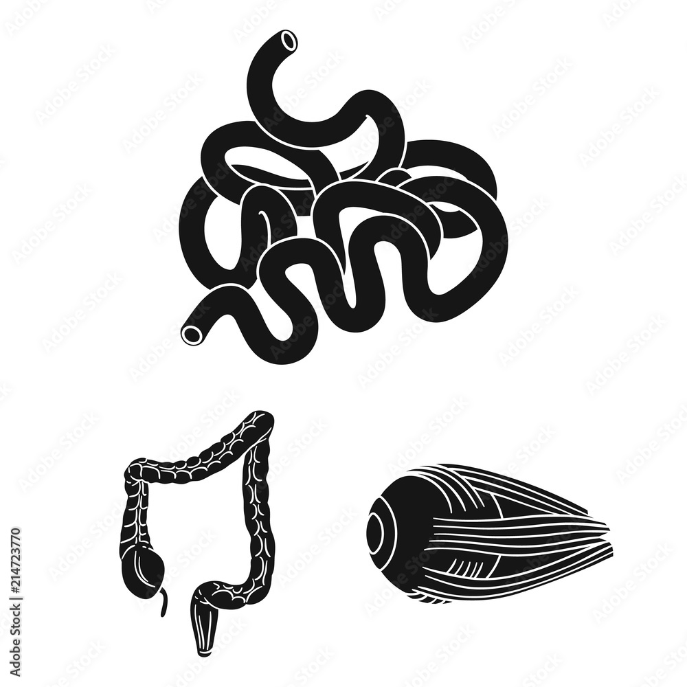 Human organs black icons in set collection for design. Anatomy and ...