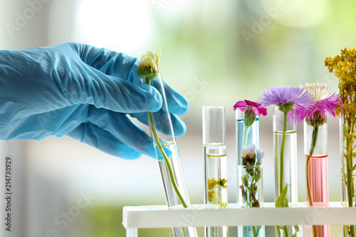 Laboratory worker taking test tube with plant, closeup