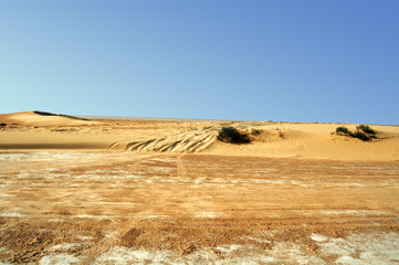 Wall Mural - sandy dune at Big Sahara desert. Tunisie. Africa