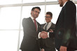 © ASDF - two businessmen shaking hands