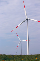 wind turbines in the sunflower field landscape