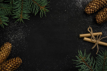 Wall Mural -  cones and spruce branches on the New Year`s black background. flat lay christmas concept