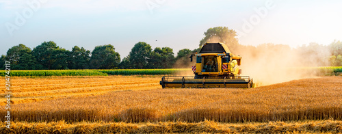 Cuadros en Lienzo big combine harvester threshing in the sunset.