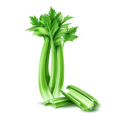 Wall Mural - Vector realistic celery salad leaves