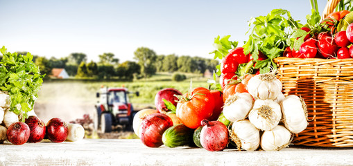 Wall Mural - vegetables and rural landscape 