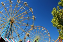 Two Ferris Wheels With Blue Sky Background And Tree To One Side