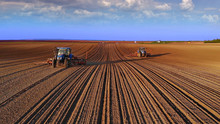 Farmers In Tractors Seeding, Sowing Agricultural Crops In Field At Sunset