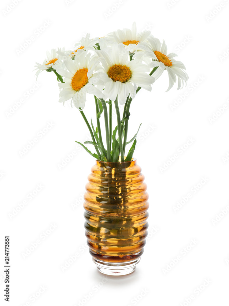 Vase with beautiful chamomile flowers on white background