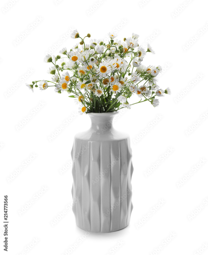 Vase with beautiful chamomile flowers on white background
