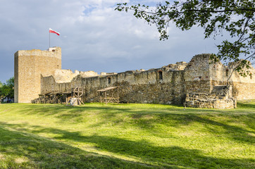 Wall Mural - Inowłódz, zamek królewski