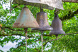 © yaroslav1986 - three church bells close-up