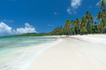 Beautiful Tropical Caribbean beach in the Dominican Republic