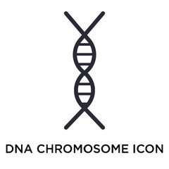 Canvas Print - DNA chromosome icon vector sign and symbol isolated on white background, DNA chromosome logo concept