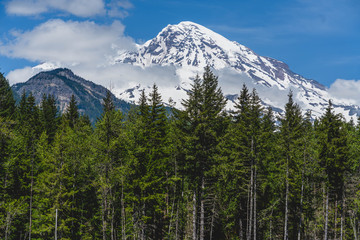 Poster - Mt Rainier