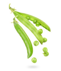 Wall Mural - Uncovered pea pod in the air isolated on a white background