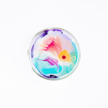 Fluid Art In A Petri Dish. Colorful Acrylic, Ink, Oil And Watercolor Marble Paint Splashes. Abstract Fluid Ocean Of Color Or Alien Planet Of Liquid Color.  Living Colorful Bacteria In A Petri Dish.