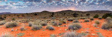 Panoramic Landscape Photo Views Over The Kalahari Region In South Africa