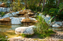 Tropical Landscape Design. View Of Small Pond And Waterfall