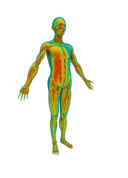 3d illustration of human skin body