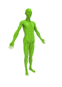 3d illustration of human skin body