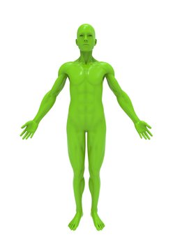 3d illustration of human body